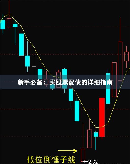 新手必备：买股票配债的详细指南